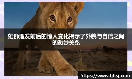 ac米兰官方app